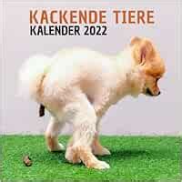 kackende tiere|Kackende Tiere Kalender: 12 Monate .